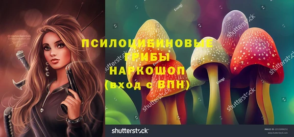 спиды Алексеевка