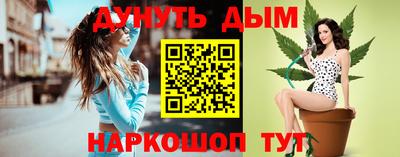 spice Гай