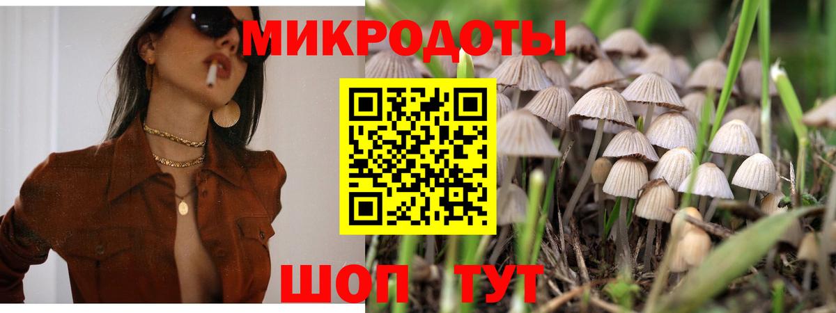 Псилоцибиновые грибы Psilocybine cubensis Барнаул
